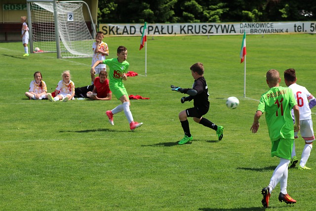 被寄予厚望 被寄予厚望